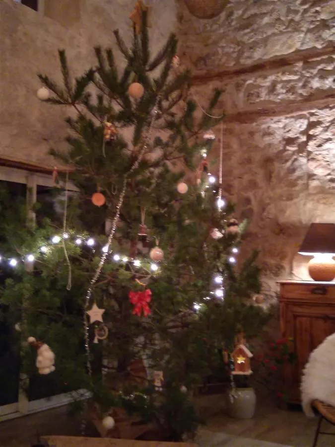 Maison De Nant Vorey Bed & Breakfast
